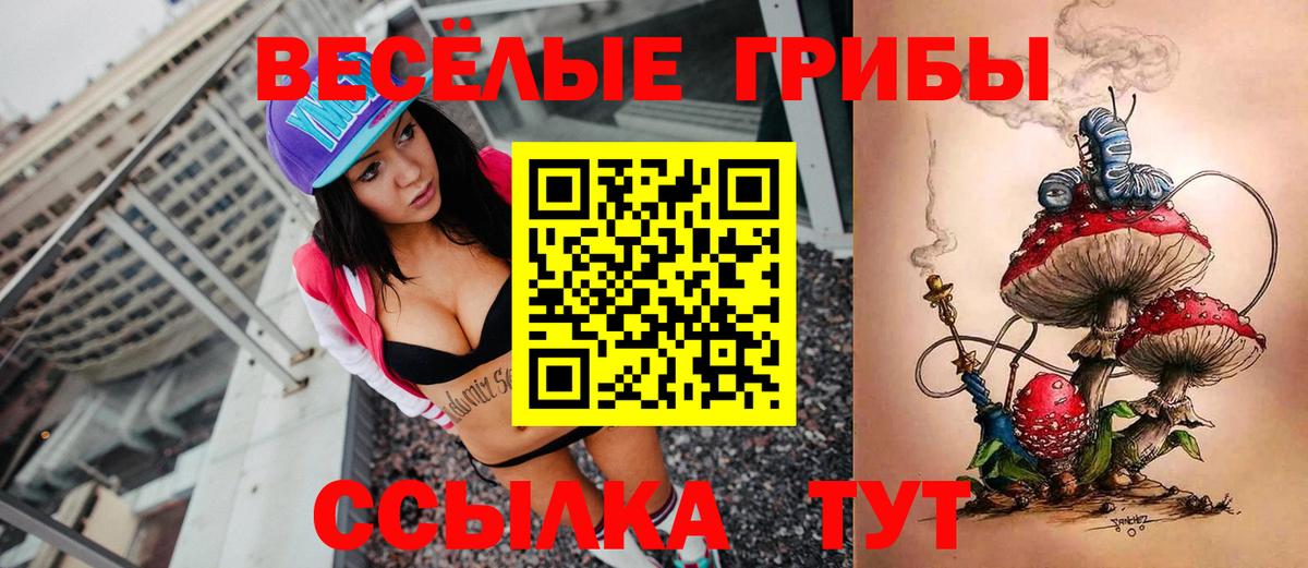 Псилоцибиновые грибы MAGIC MUSHROOMS  купить   Курганинск 