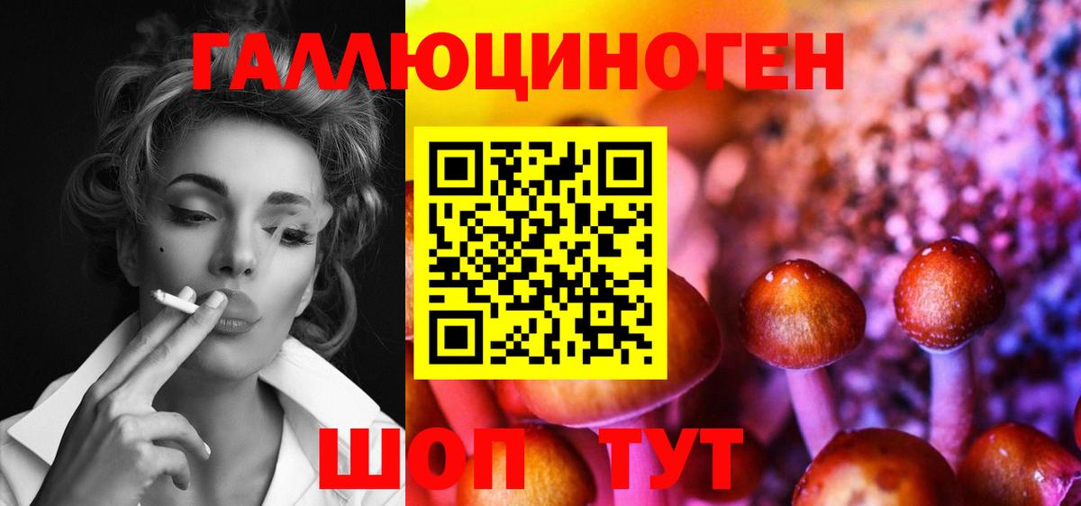 где найти наркотики  Вход с VPN  Курганинск  Псилоцибиновые грибы Psilocybe 