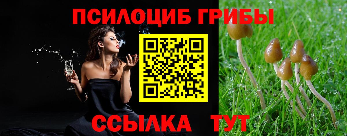 Псилоцибиновые грибы мухоморы Курганинск